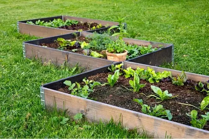 Diy Raised Garden Beds Benefits Building Tips Materials