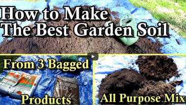 Affordable and High-Quality Soil Mix for Your Garden