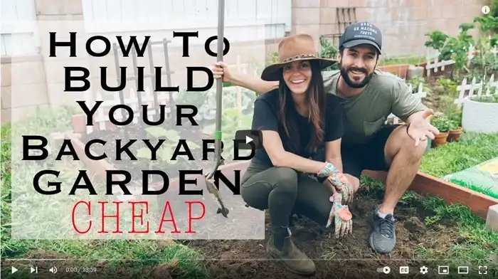 Backyard Vegetable Garden Tips Video