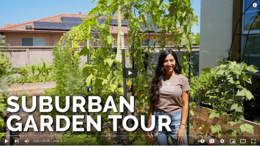 Backyard Vegetable Garden Tour Video