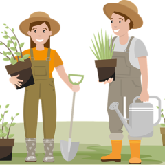 Benefits of Gardening