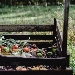 Compost Bin Tips