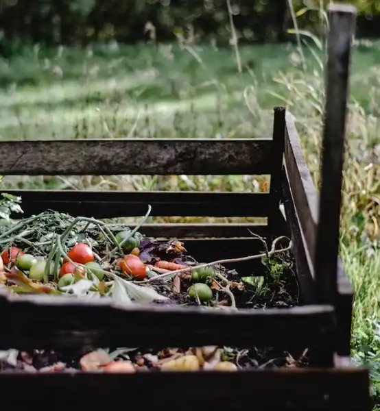 Compost Bin Tips