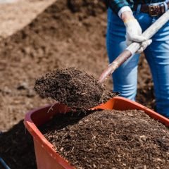 Composting: Benefits for Your Garden