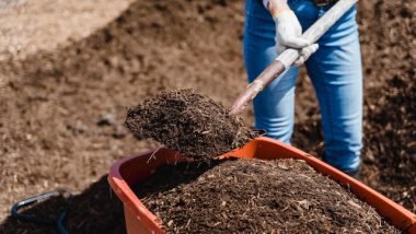 Composting: Benefits for Your Garden