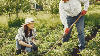 Creating a Fun and Engaging Garden for Everyone