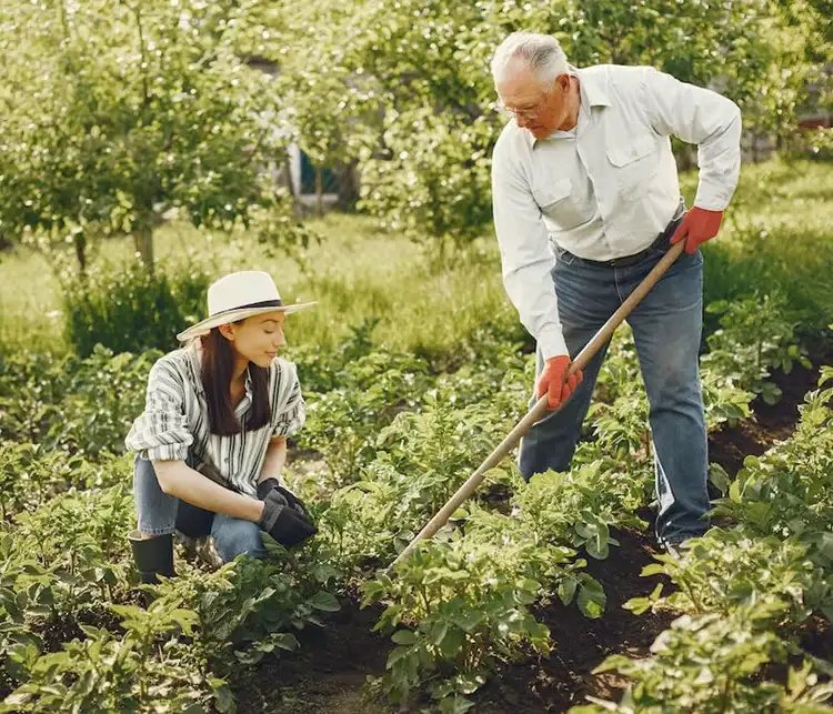 Creating a Fun and Engaging Garden for Everyone