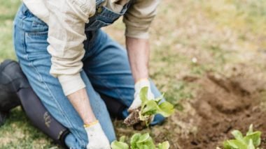 Cultivate a Flourishing Garden for Every Season