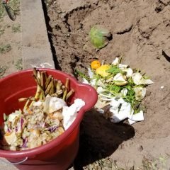 DIY Composting