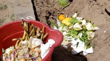 DIY Composting