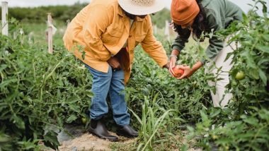 Family Gardening