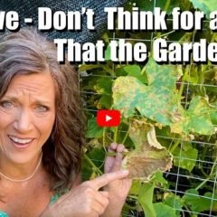 Heat Wave Gardening Tips