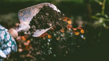 Improve Your Garden Soil on a Budget