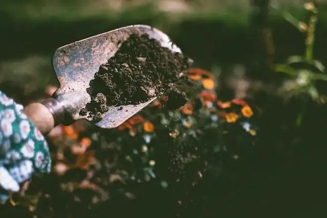 Improve Your Garden Soil on a Budget