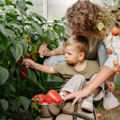 Kids in Gardening