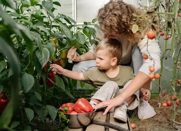 Kids in Gardening