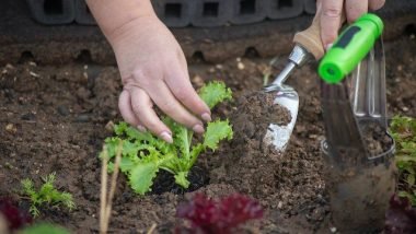 Organic Gardening