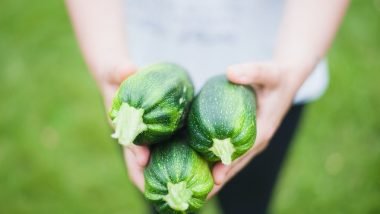 Tips for a Thriving Vegetable Garden