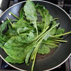 Growing Spinach