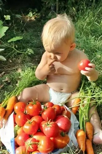 Low-Maintenance High-Yield Garden