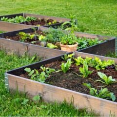 DIY Raised Garden Beds