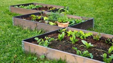 DIY Raised Garden Beds