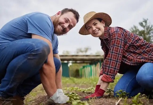 Introduction to Home Victory Gardens