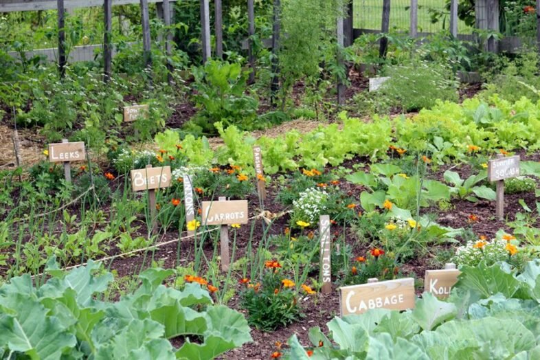 How much food do I need to grow to be self sufficient?